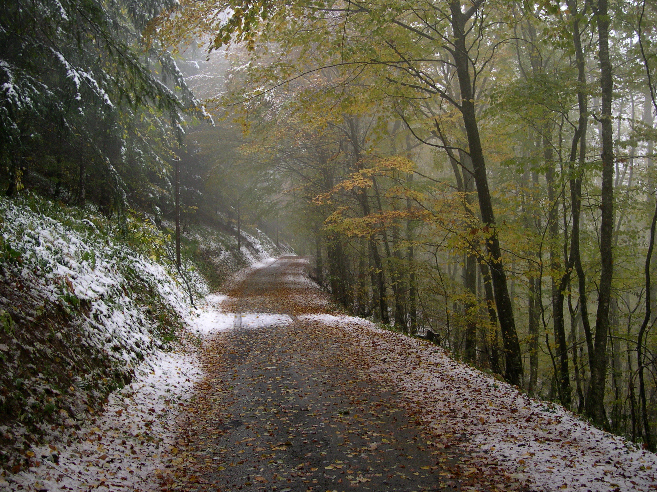 Premières neiges