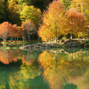 Automne sur le lac