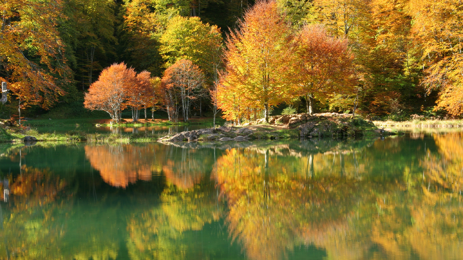 Automne sur le lac