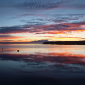 Reflets sur l'étang