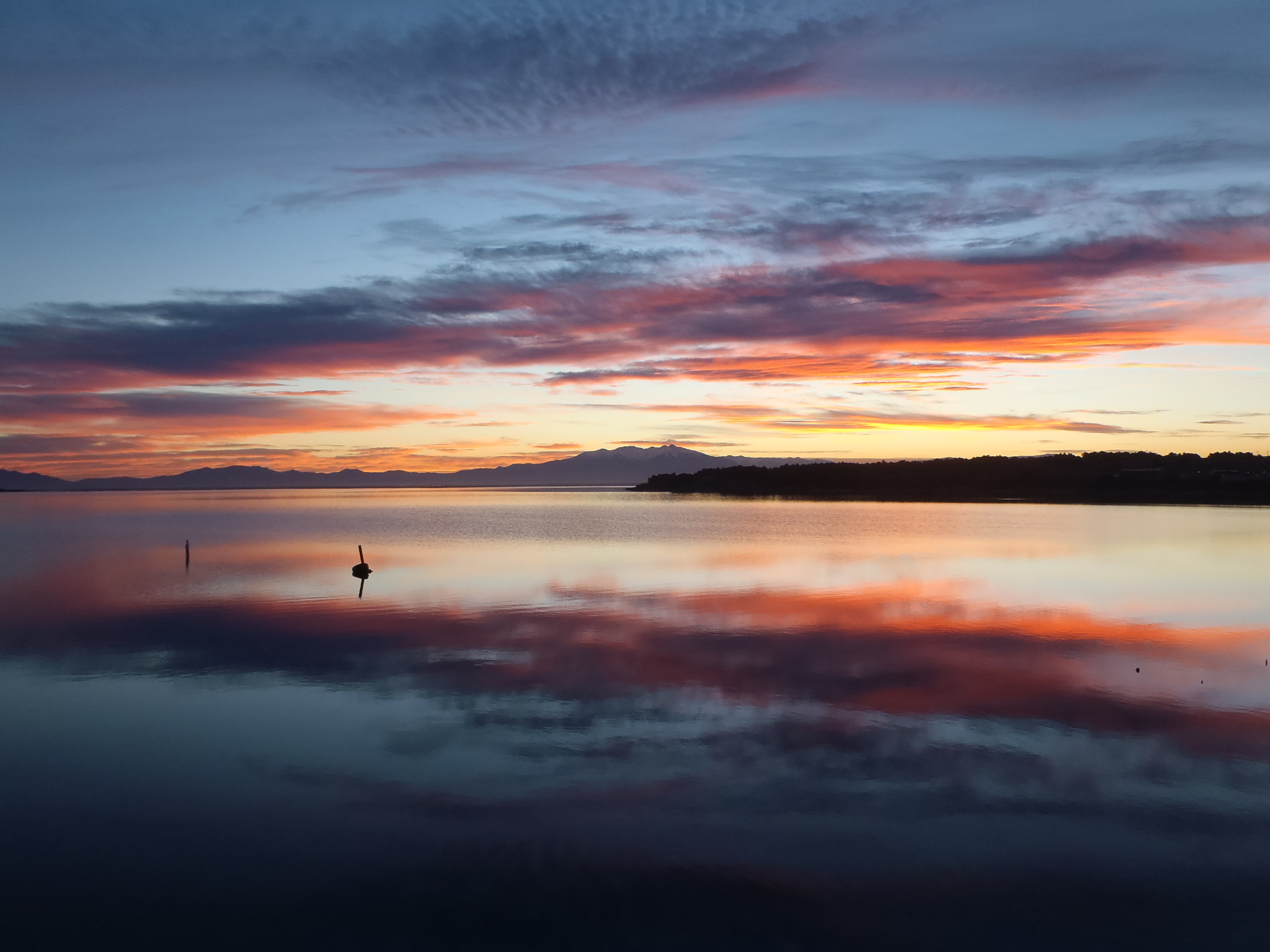 Reflets sur l'étang