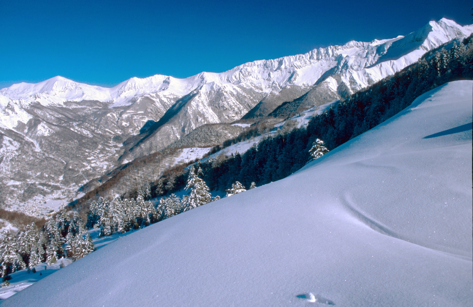 Manteau blanc